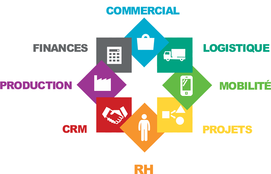 Smart Light ERP Module